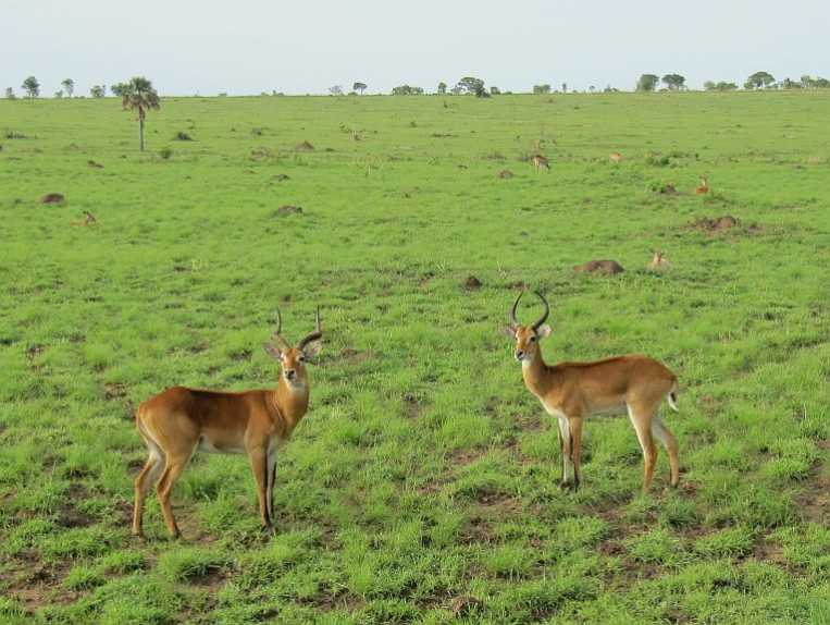 Untamed Travel Possibilities for your imagination or your future plans.