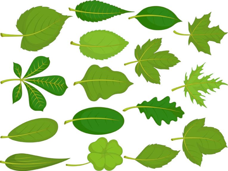 Solar Fuel from Artificial Leaves at last.