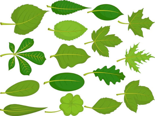 Solar Fuel from Artificial Leaves at last.