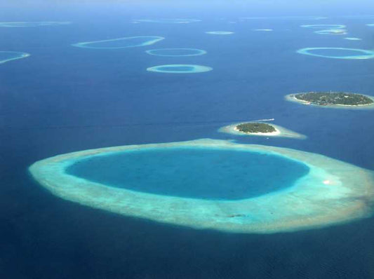 Local communities empowered to take on ocean's acidic hotspots