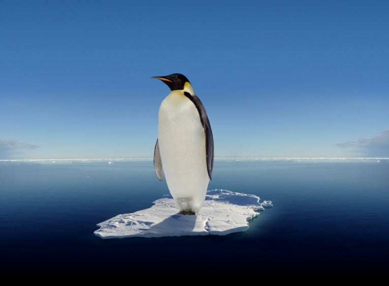 Looks like hell now for temperature rise!