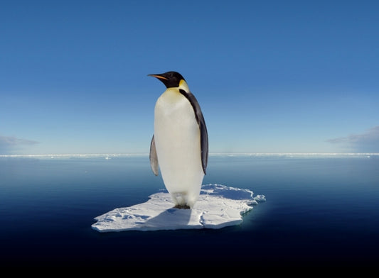 Looks like hell now for temperature rise!