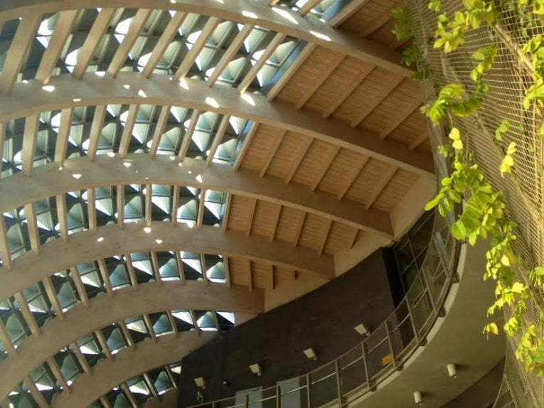 Masdar Sustainability Blogging Contest