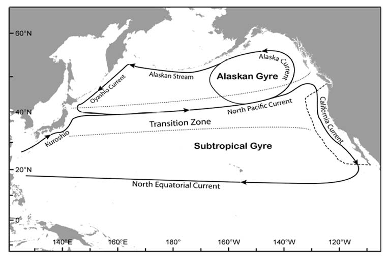 Major Pacific study reveals top predators homing in on ocean's sweet-spots