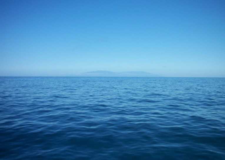 The impact of oxygen-poor oceans on the early evolution of animals