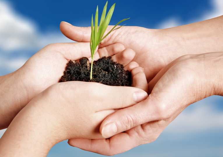 Organic burials: corpse to compost in six months