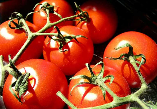 The Truth About Organic vs. Conventional Foods