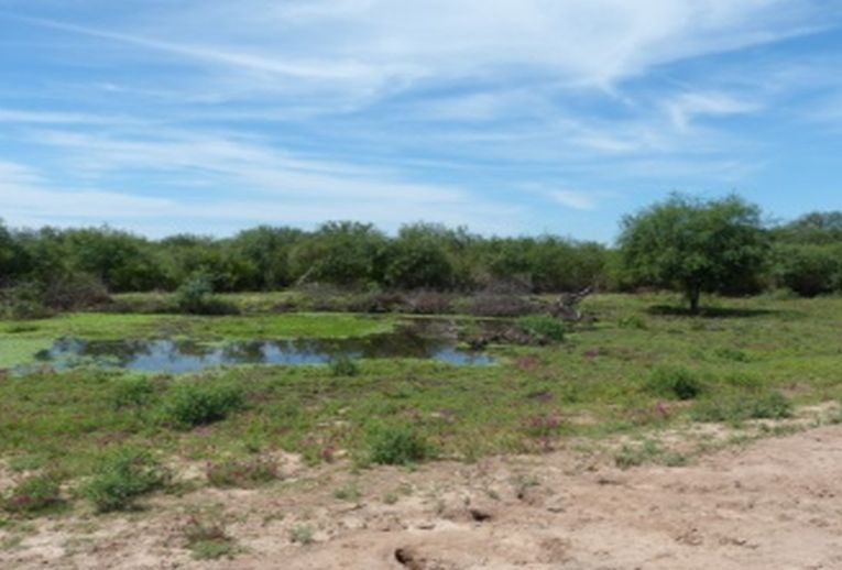 Para La Tierra fights back