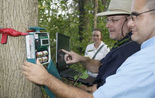 Listening to the pulse of the natural world