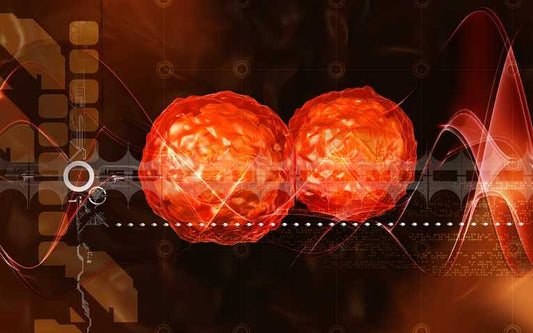 Pilgrimage warning after Pakistan polio discovery