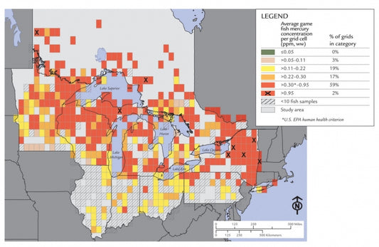 Pollution Postcard from the Great Lakes, some Mercury Rising