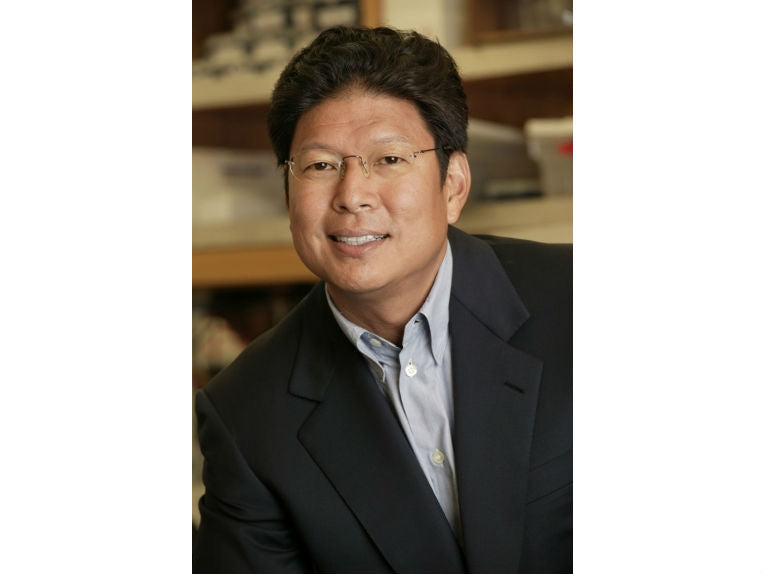 Findings may prevent oxygen deprived fetal brain damage