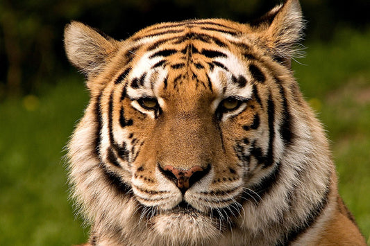 We cannot push population growth under the carpet