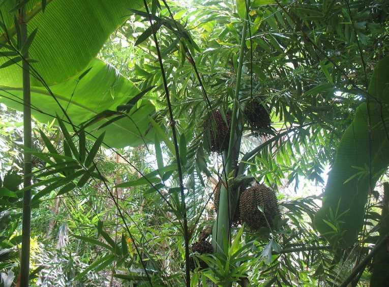 New UN Climate Law: Protection or otherwise?