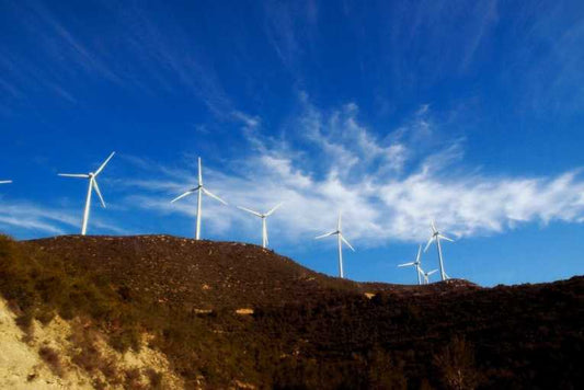 EU tackles conflict of interest between renewable energy and biodiversity