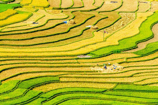 Climate Mitigation from Agriculture is Limited.