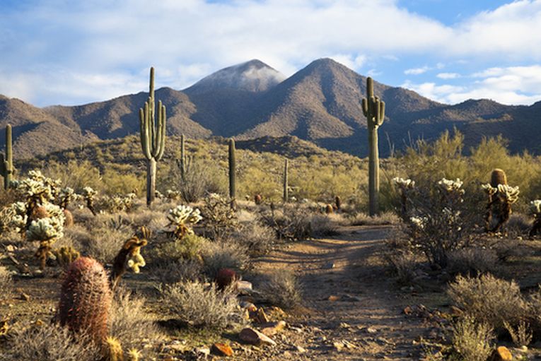 Relicts are natural ecological laboratories