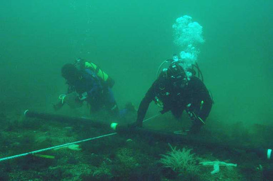 Scottish first marine reserve reaping rewards of protection