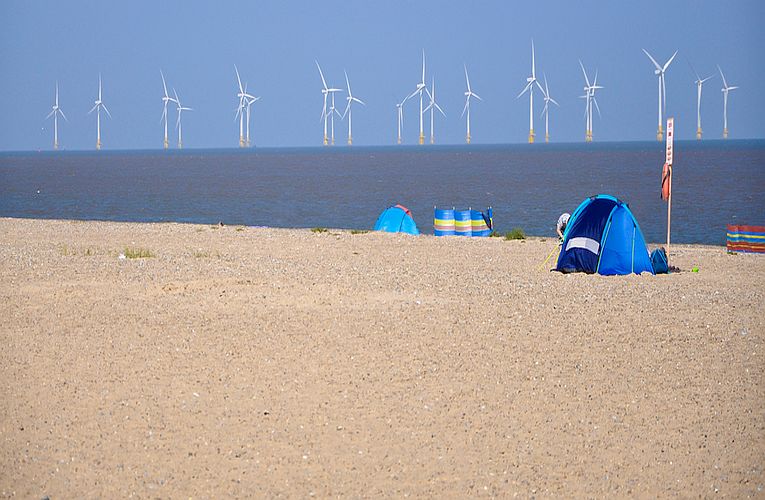 Climate warriors, renewables champions, carbon absorbers or not?