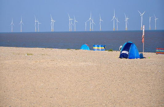 Climate warriors, renewables champions, carbon absorbers or not?