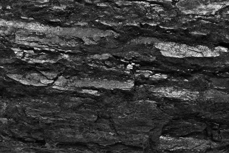 Old King Coal has a Texan hole?