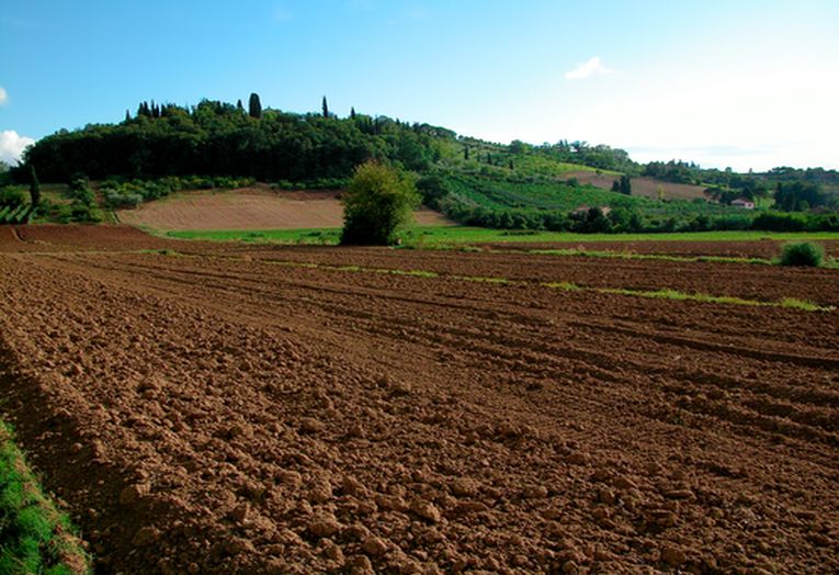 Forming better soils, gardens and farms
