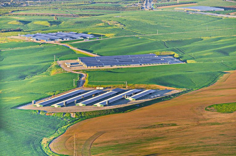 Solar fuel cells develop in Sweden.