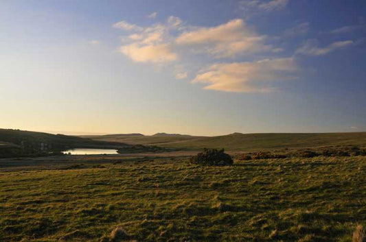 South Penquite - the eco-friendly family farm