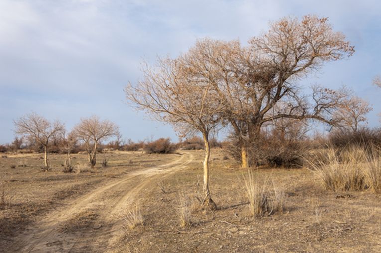 Nuclear Weapon Free Zone (CANWFZ) established 20 years after President Karimov’s initiative