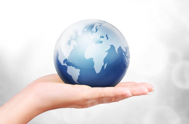 Sustainability in Business