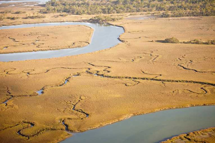 Unprecedented sea-level rise over 20th century pins down future of ris ...