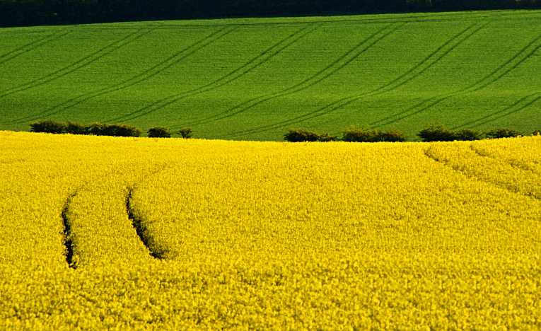 Web tool measures biofuels' green credentials