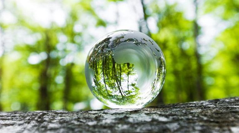 Food, Glorious - and Sustainable (for WED!)