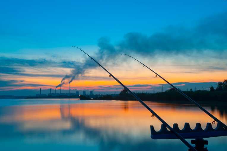 Multi-million dollar fund announced for US wildlife projects