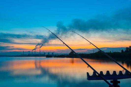 Multi-million dollar fund announced for US wildlife projects