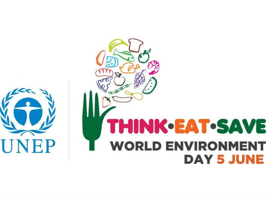 World Environment Day 2013