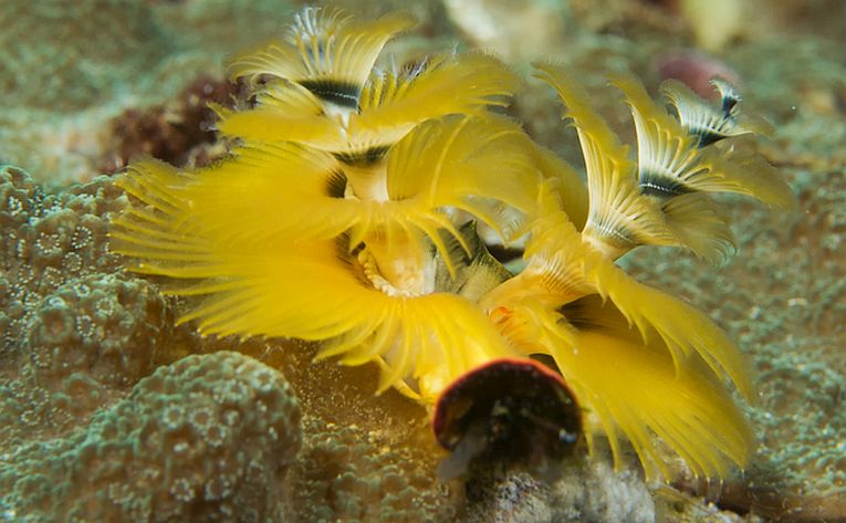 £393million - the hidden cost of (UK) Christmas