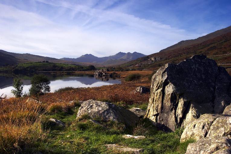 Y Goeden Eirin, the green guest house