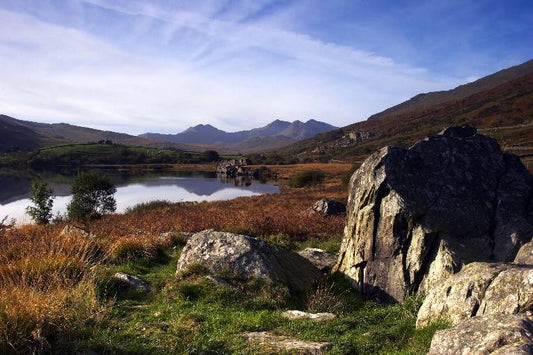 Y Goeden Eirin, the green guest house