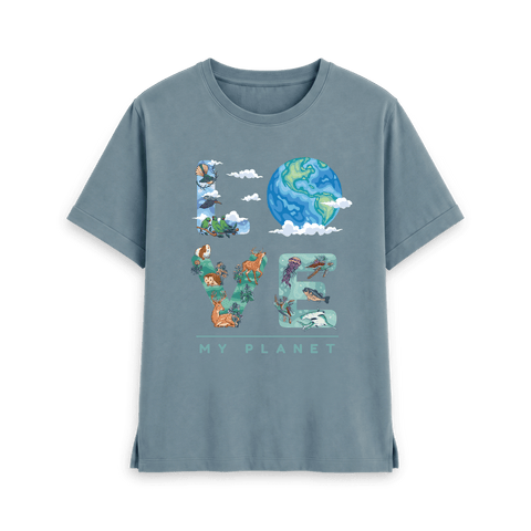 Stone Blue Printed T-shirt Front