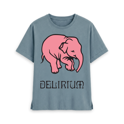 Stone Blue Printed T-shirt Front