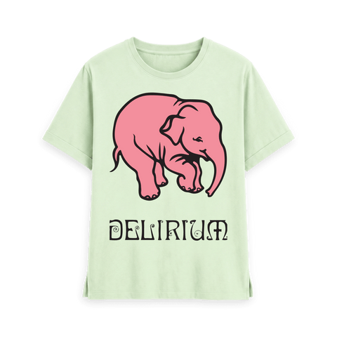 Pastel Green Printed T-shirt Front