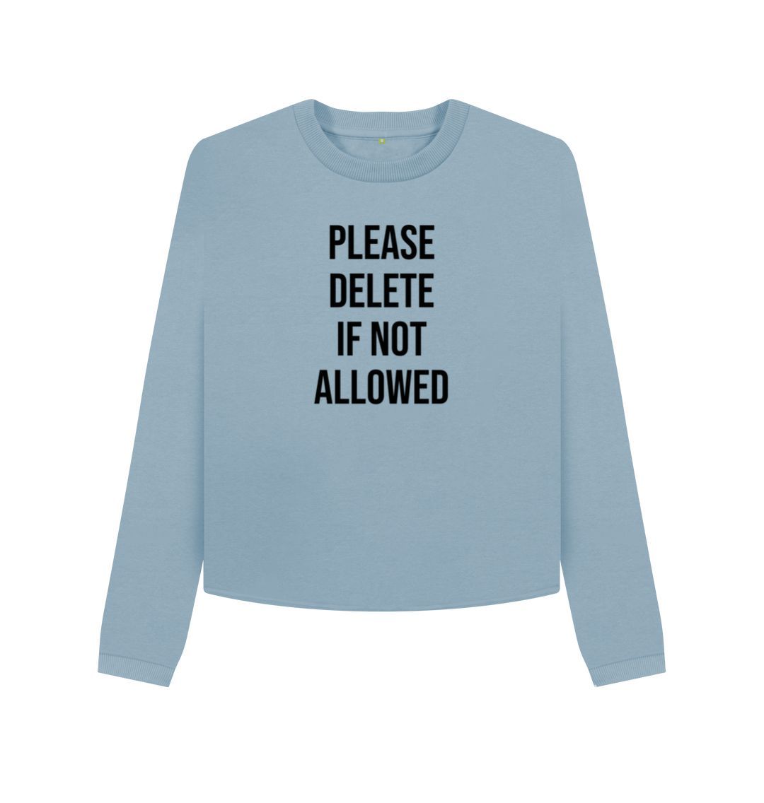 Stone Blue Please Delete Women's Boxy Jumper