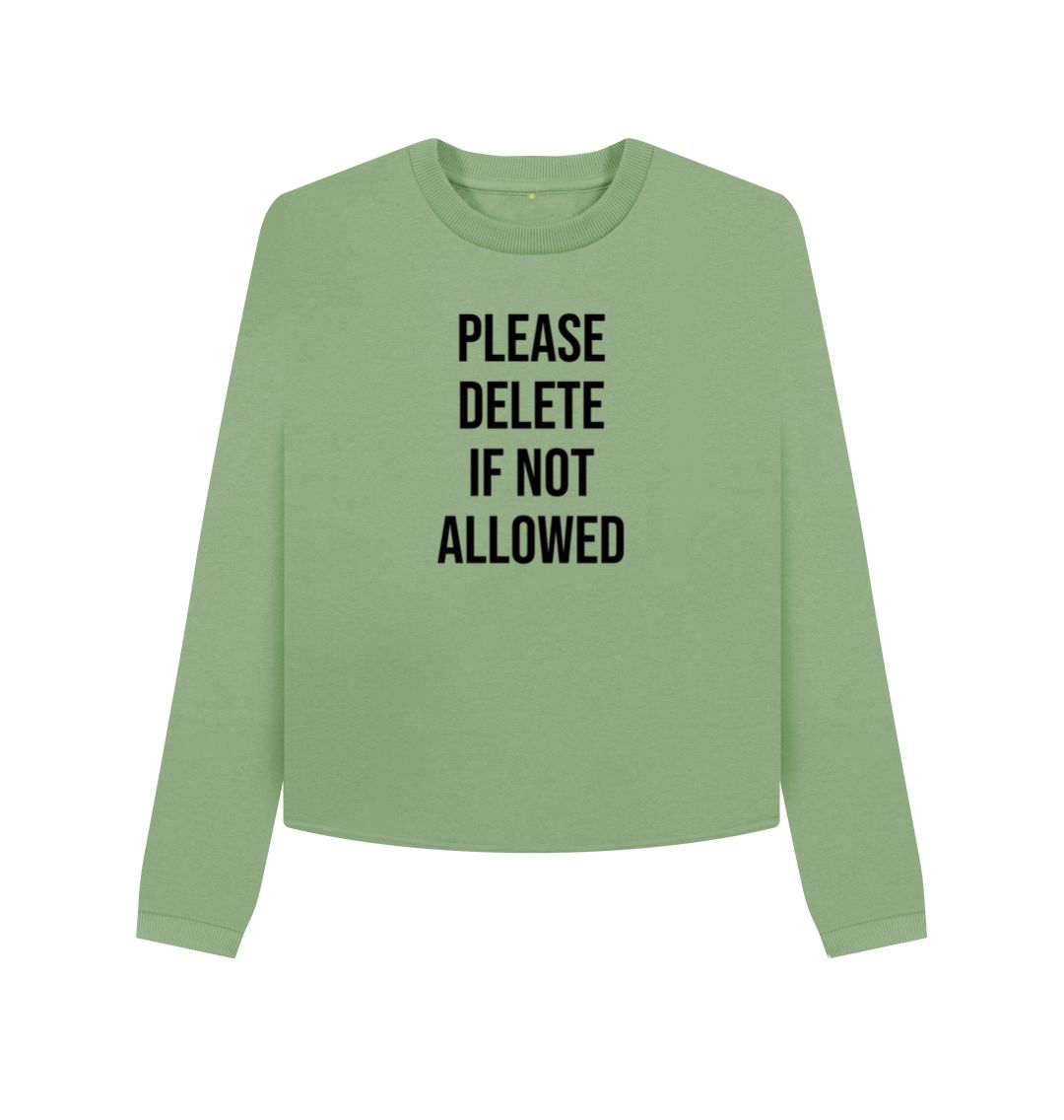 Sage Please Delete Women's Boxy Jumper